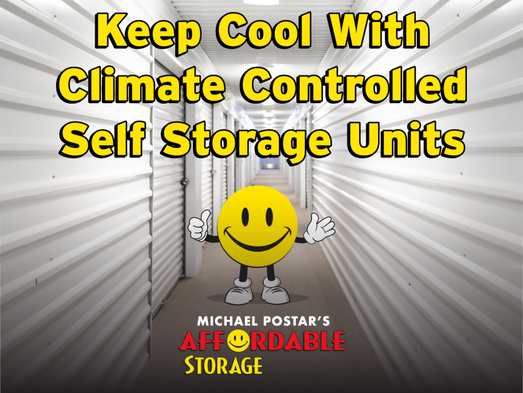 Why you should use climate-controlled storage during hot summers
